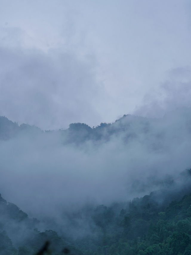 都江堰旅遊｜進山躺平，雨天待在山裡真舒服啊。