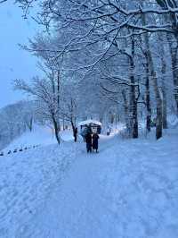 北海道小樽兩天兩晚攻略。