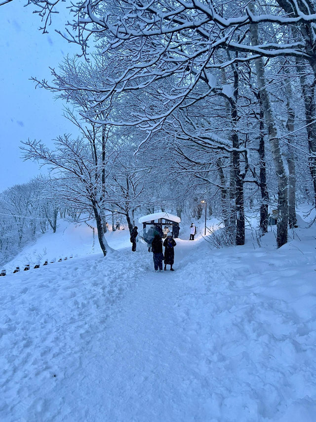 北海道小樽兩天兩晚攻略。