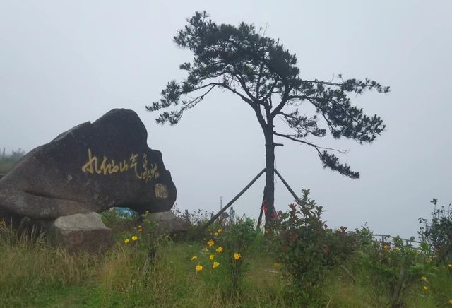 九仙山：風景真不錯！。