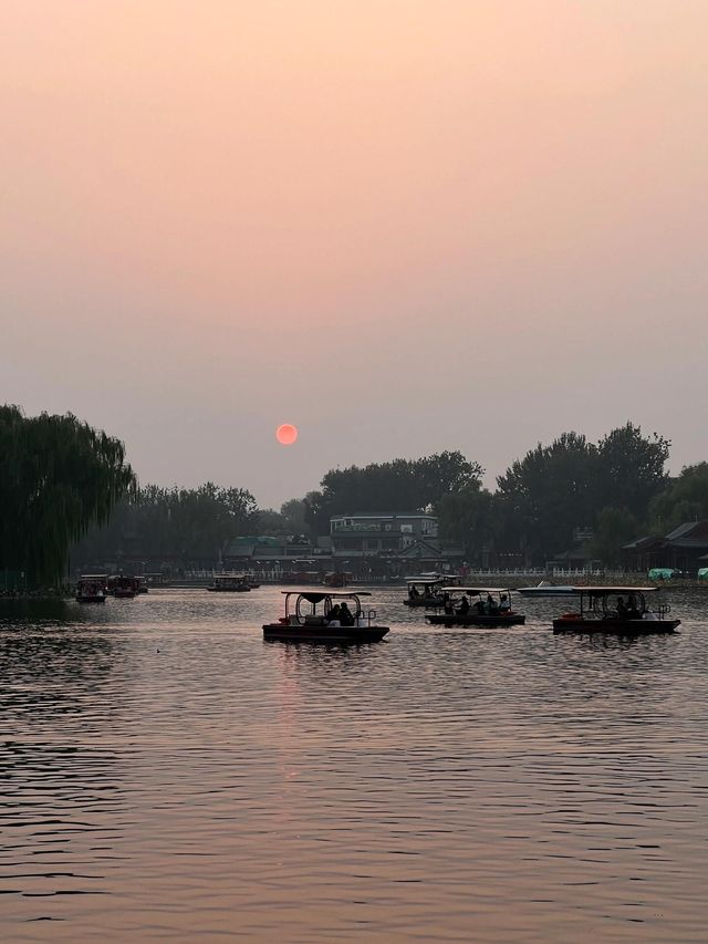 寧波日湖公園丨迷霧森林。
