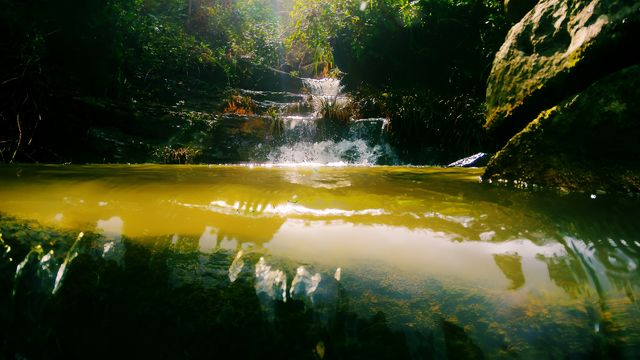 美國西雅圖｜奧林匹克國家公園的自然瑰寶。
