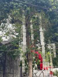 中山三溪村｜具有獨特風格的地方。