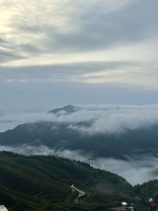 偶爾不想工作，就去大山裡住幾天。
