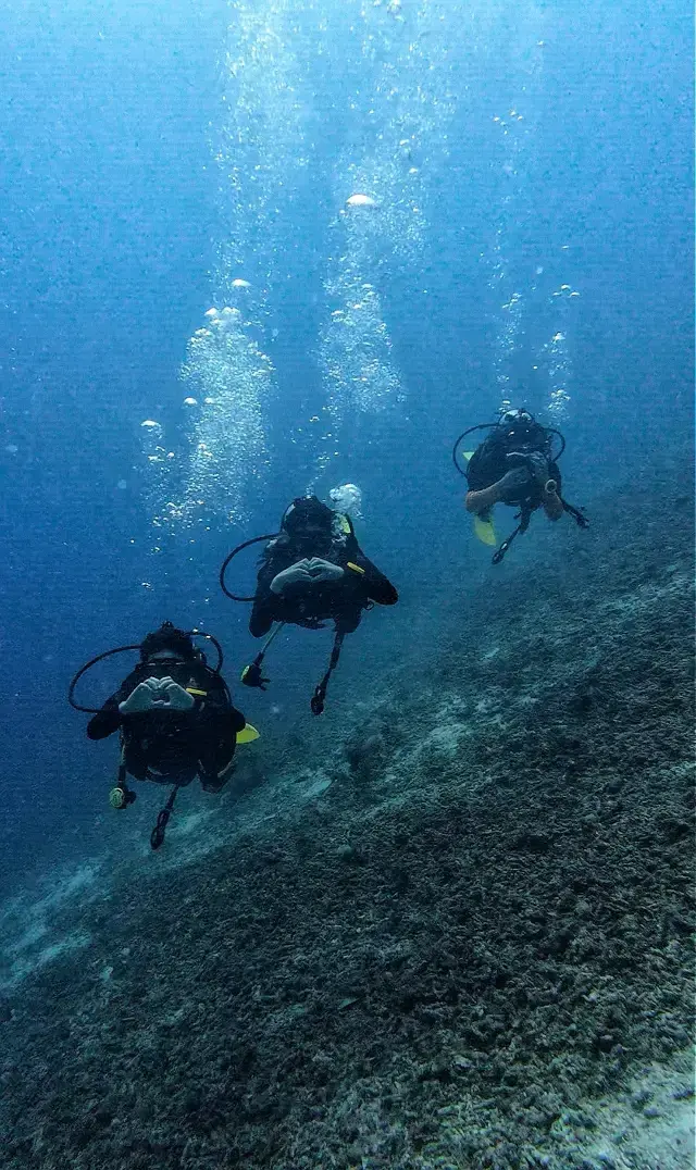 Is diving in Semporna, Malaysia worth it? 