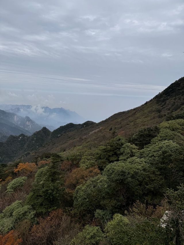 終南山秦楚古道。