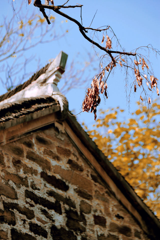 婺源分源——大余灣晒秋。 婺源分源——大余灣晒秋。