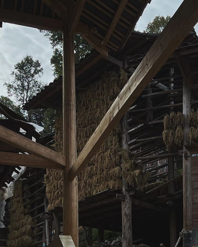 旅行|黃岡侗寨。