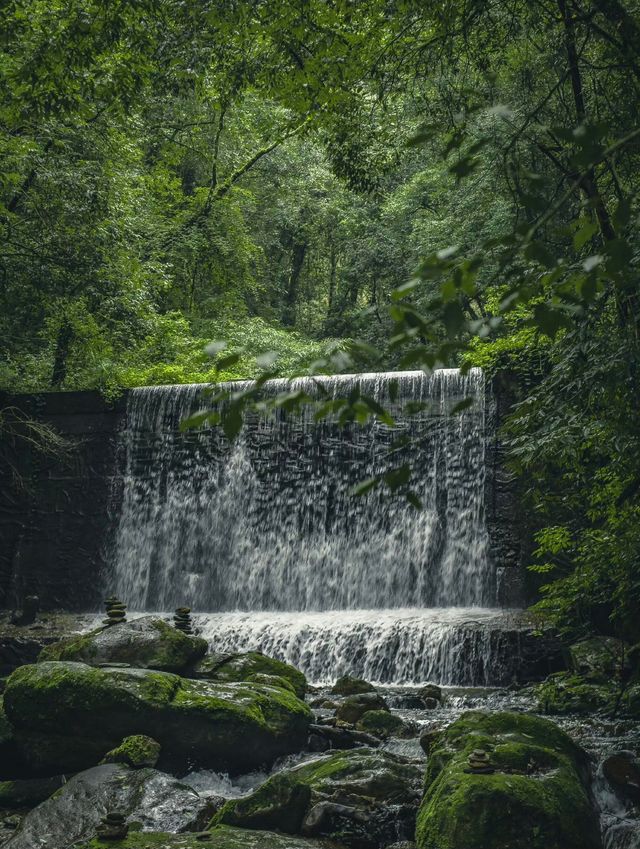 再探神秘哀牢山——。
