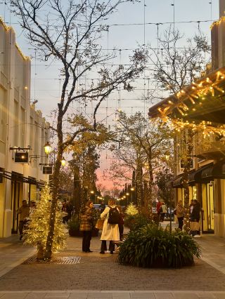 The annual Black Friday is here again! Don't miss the outlets in Europe and America.