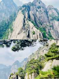 黃山 天下第一奇山的壯麗詩篇。