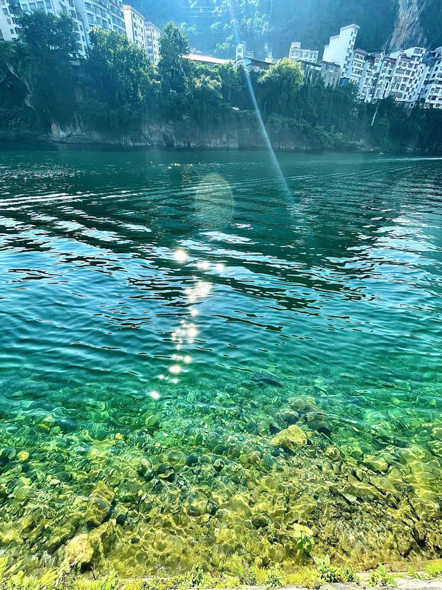 天峨最全藍刀魚觀賞點！