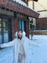 這裡欣賞雪景滑雪值得住的寶藏民宿～