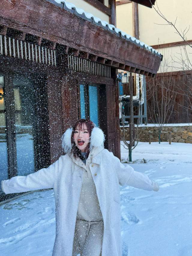 這裡欣賞雪景滑雪值得住的寶藏民宿～