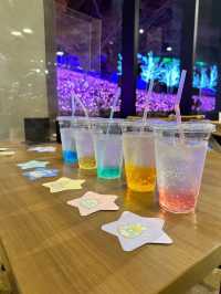 2022 Sagamiko Forest Light Show