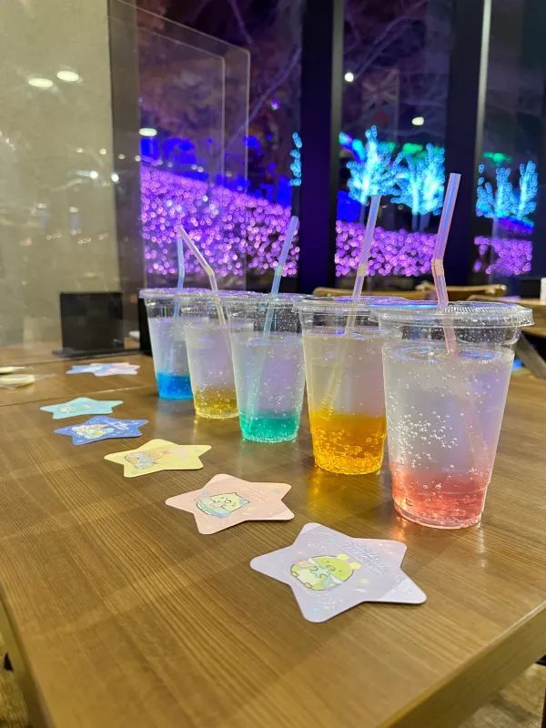 2022 Sagamiko Forest Light Show