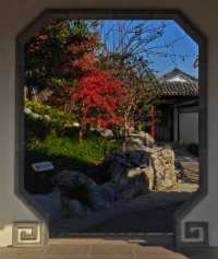 打卡濱江森林公園滈園