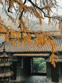 臨沂費縣叢柏庵，山寺清幽，來者皆誠！