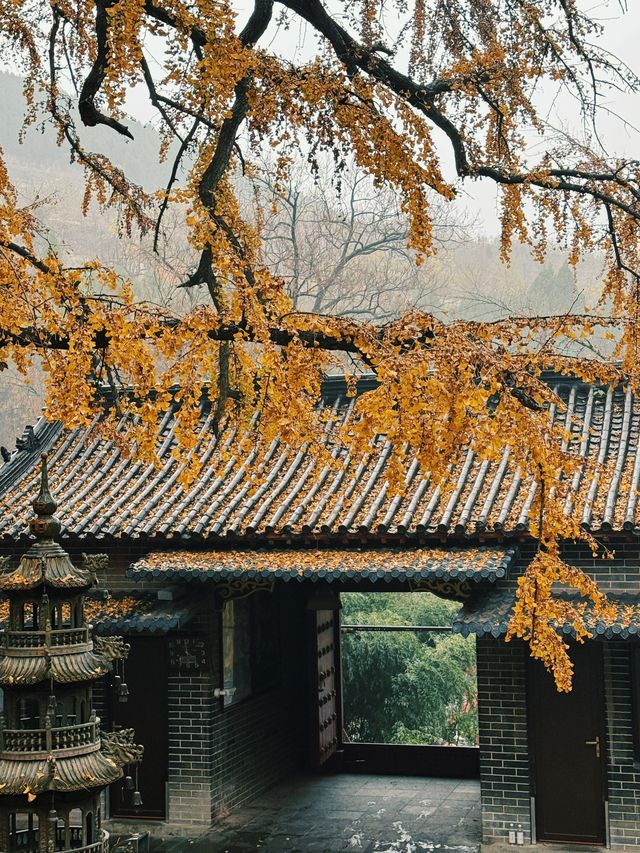 臨沂費縣叢柏庵，山寺清幽，來者皆誠！