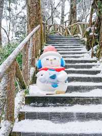 誰懂得！南方孩子看見雪的快樂！