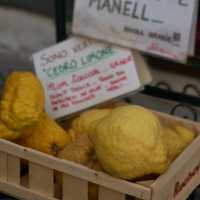 Amalfi: The Charm of the Mediterranean
