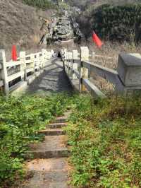 濱州·鶴伴山｜雲遊鶴伴山，心棲自然間