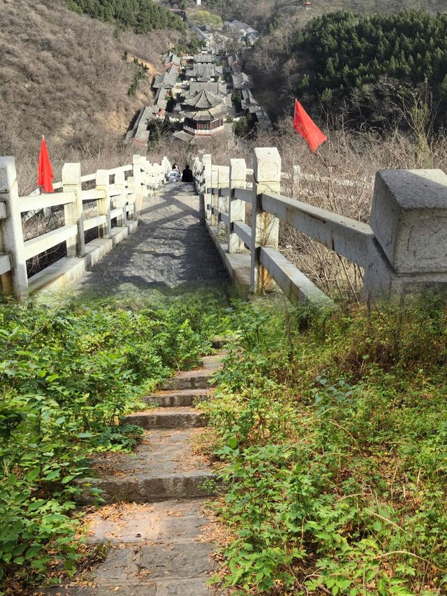 濱州·鶴伴山｜雲遊鶴伴山，心棲自然間