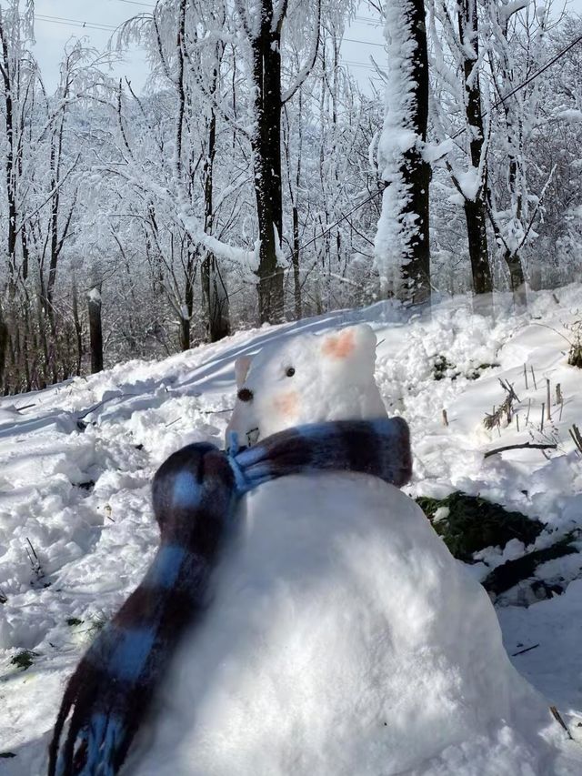 開往雪國的列車！彷彿是從童話裏駛來