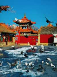 南方小土豆北上冬日追雪冷門地呼和浩特