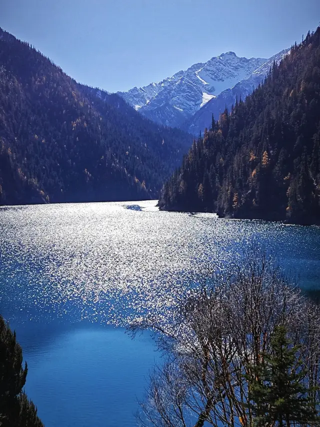 5-Day Tour of Dujiangyan and Jiuzhaigou | Must-See Panda Base Guide