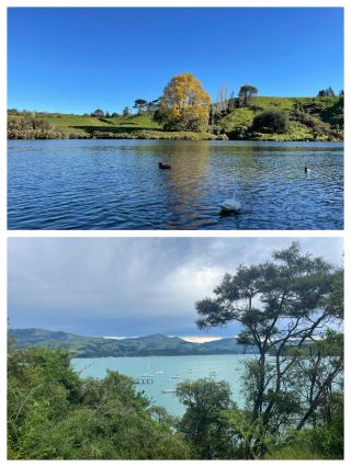 Explore Tauranga, New Zealand: A Dreamy Journey