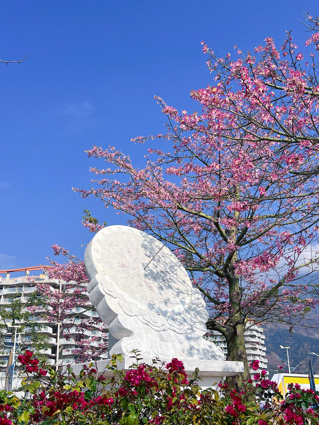 暖冬旅行指南｜米易的半山上又建了一座城太美了