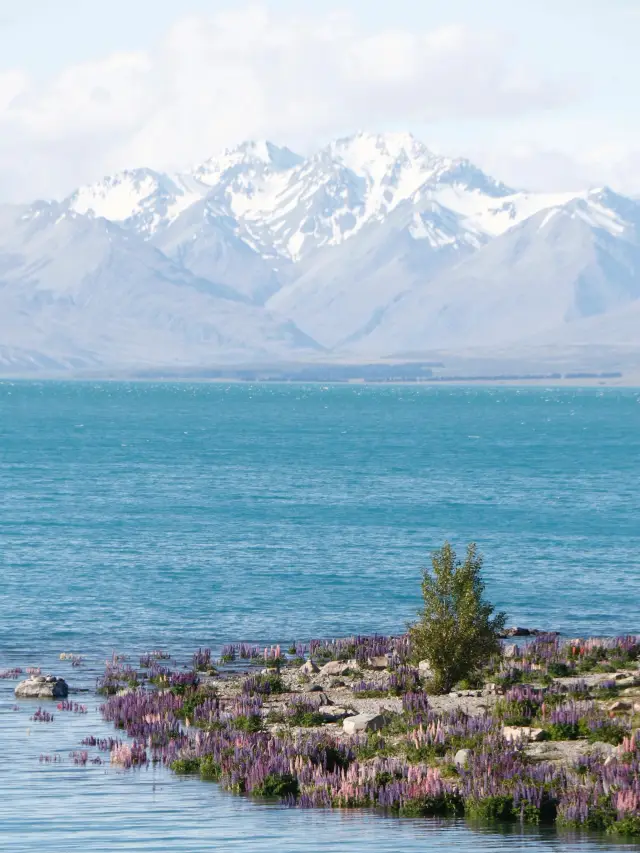 11-Day New Zealand Itinerary: The Ultimate Guide