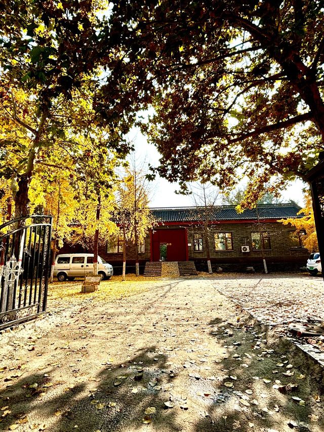 保定冬日遊｜2天玩遍經典 碼住攻略