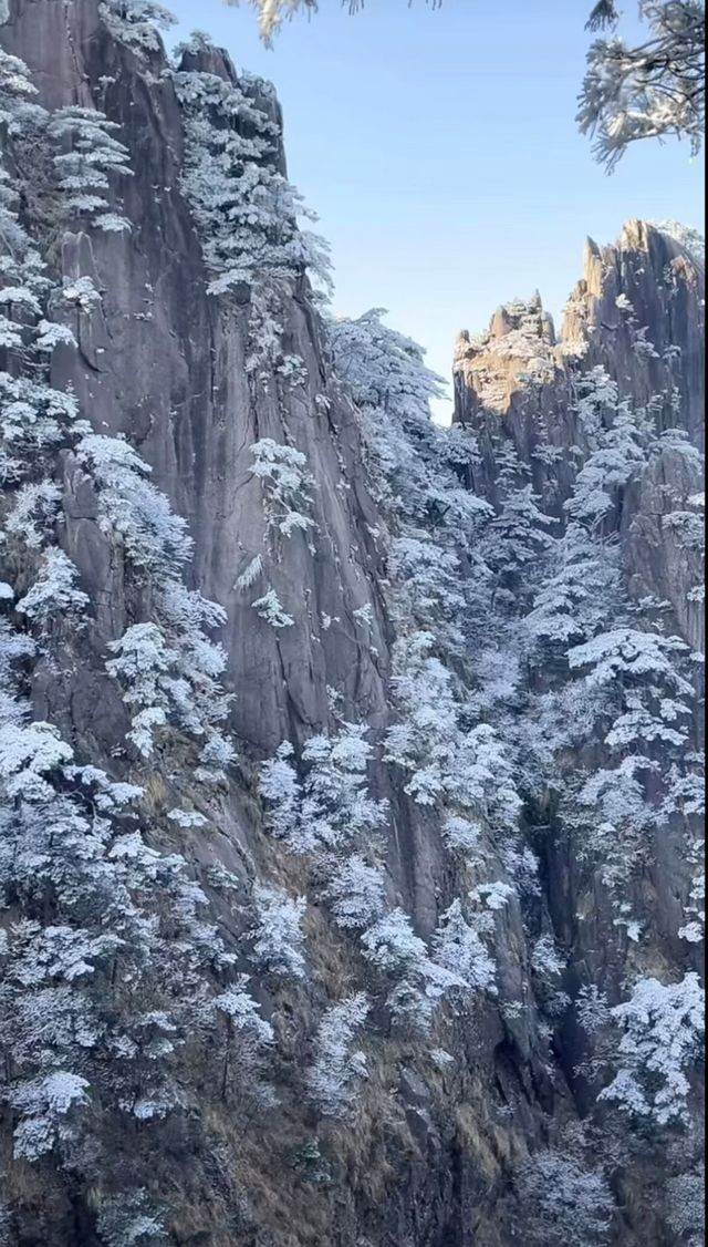 世界上最奇幻的仙山畫卷黃山景區