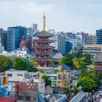 東京5日暴走攻略📸 日均2W步玩轉經典