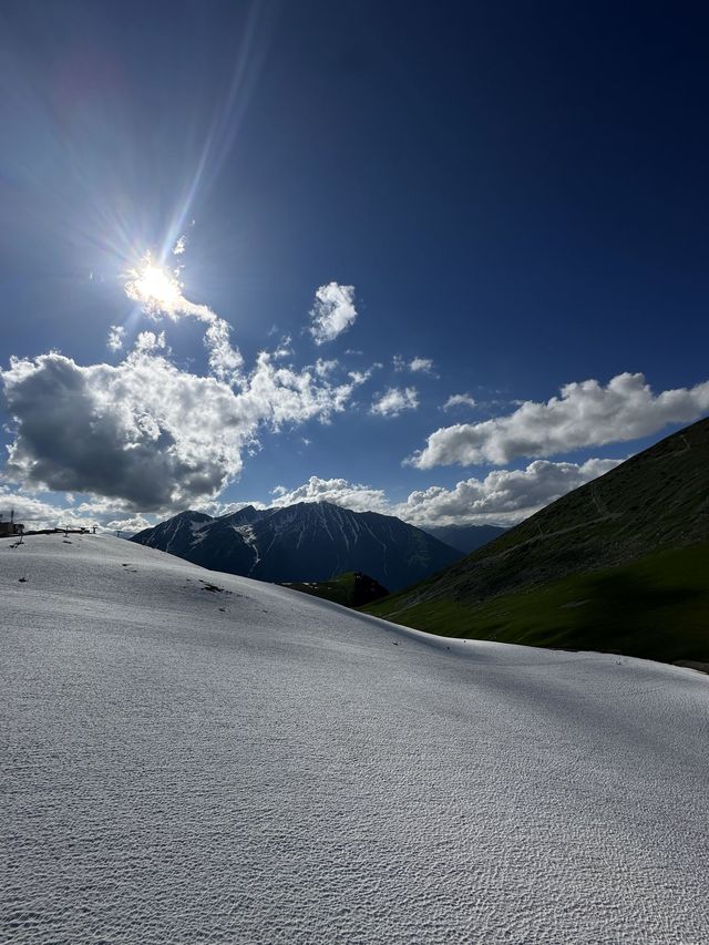 3日探秘阿勒泰 森林之旅等你來