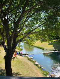 深圳好逛公園系列｜落羽杉草地和流水潺潺