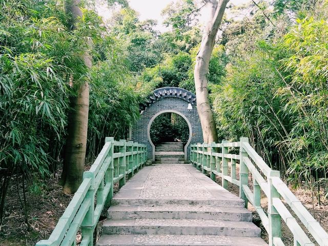 XiQiao Mountain: Evergreen Realm of Guanying Goddess