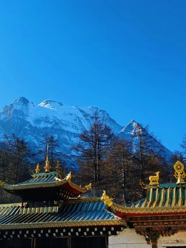 2-3月川西最新攻略建議去VS不建議去