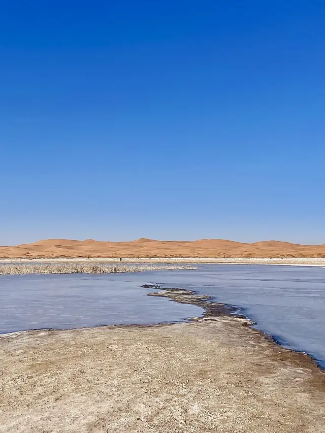 冬日戀歌寧夏銀川等地 你未曾見過的雪景奇觀