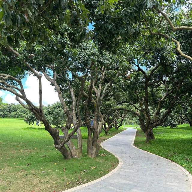 🏫深圳大學，我的夢中情校🥰