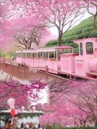 福建驚現現實版莫奈花園,美到失語!