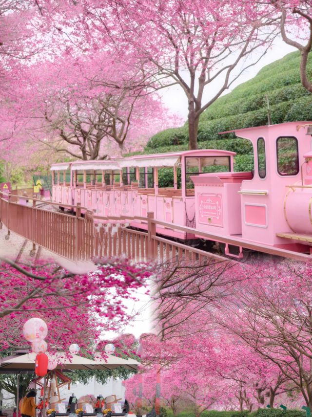 福建驚現現實版莫奈花園,美到失語! 福建驚現現實版莫奈花園,美到失語!