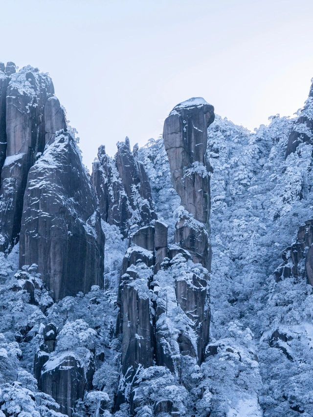 老友相約：江西南昌-廬山-景德鎮4日遊全攻略