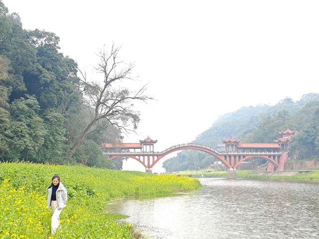 樂山濠上大橋 · 闖進春日油菜花秘境