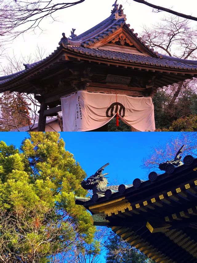 仙台最「下飯」攻略｜唔睇呢篇攻略，你可能會錯過半個仙台