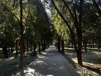 Beijing Two Day Art Trip