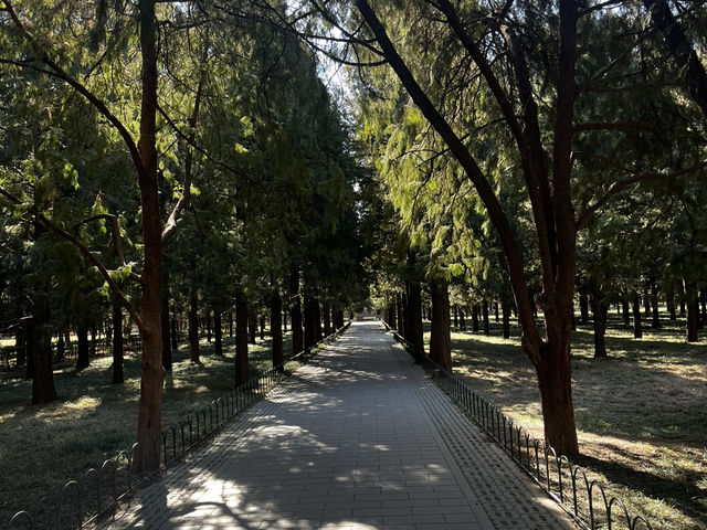 Beijing Two Day Art Trip