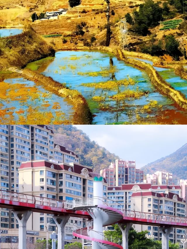 攀枝花已回，說說我的真實感受。